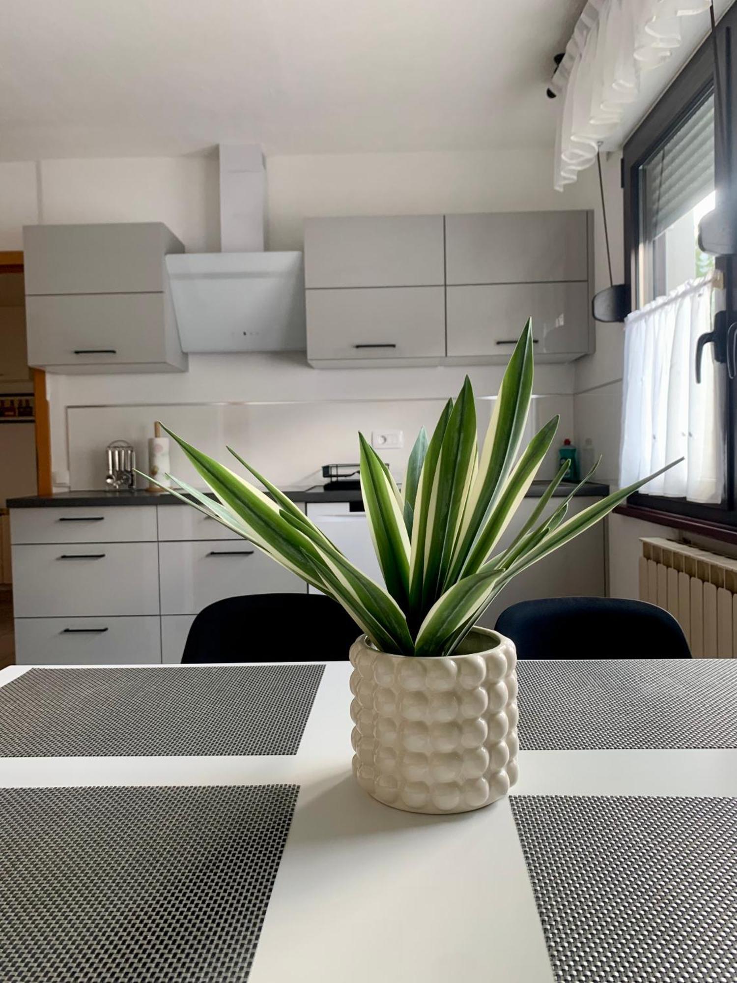 Apartma Panorama Kobarid Luaran gambar